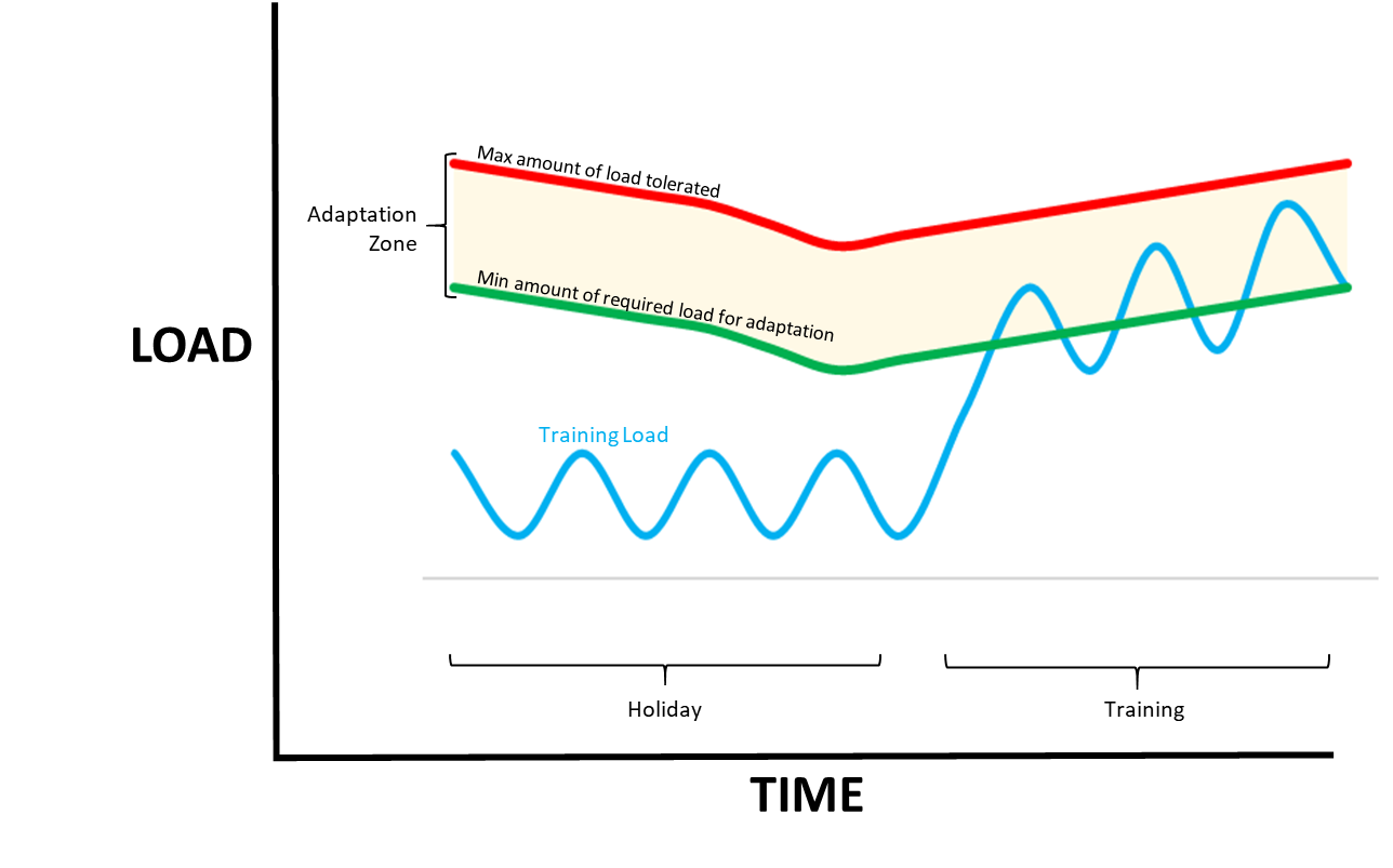 Diagram representing the results of good training load management.