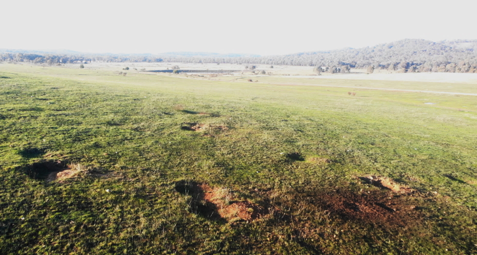 Picture of Bomb Damage Assessment in a field.