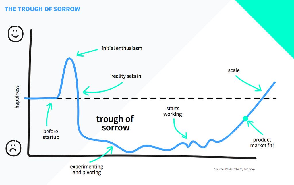 Diagram of the Trough of Sorrow