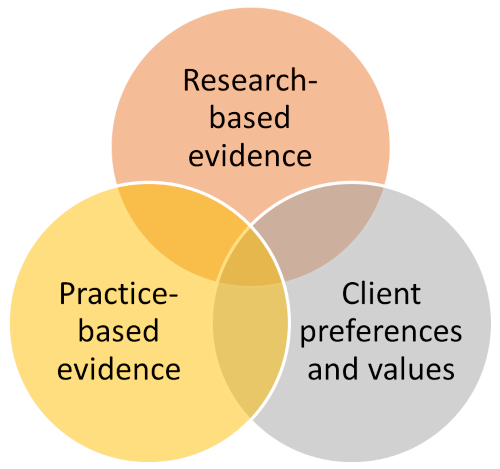 Evidence-based practice model