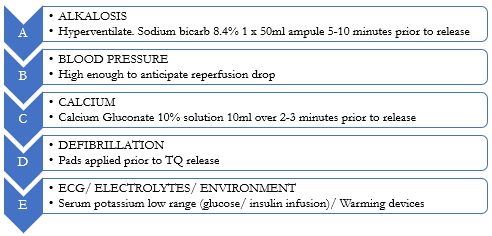 The Revascularisation Toolbox (ABCDE).