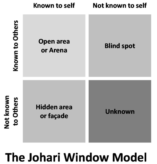 Figure 1 – Johari Window Model