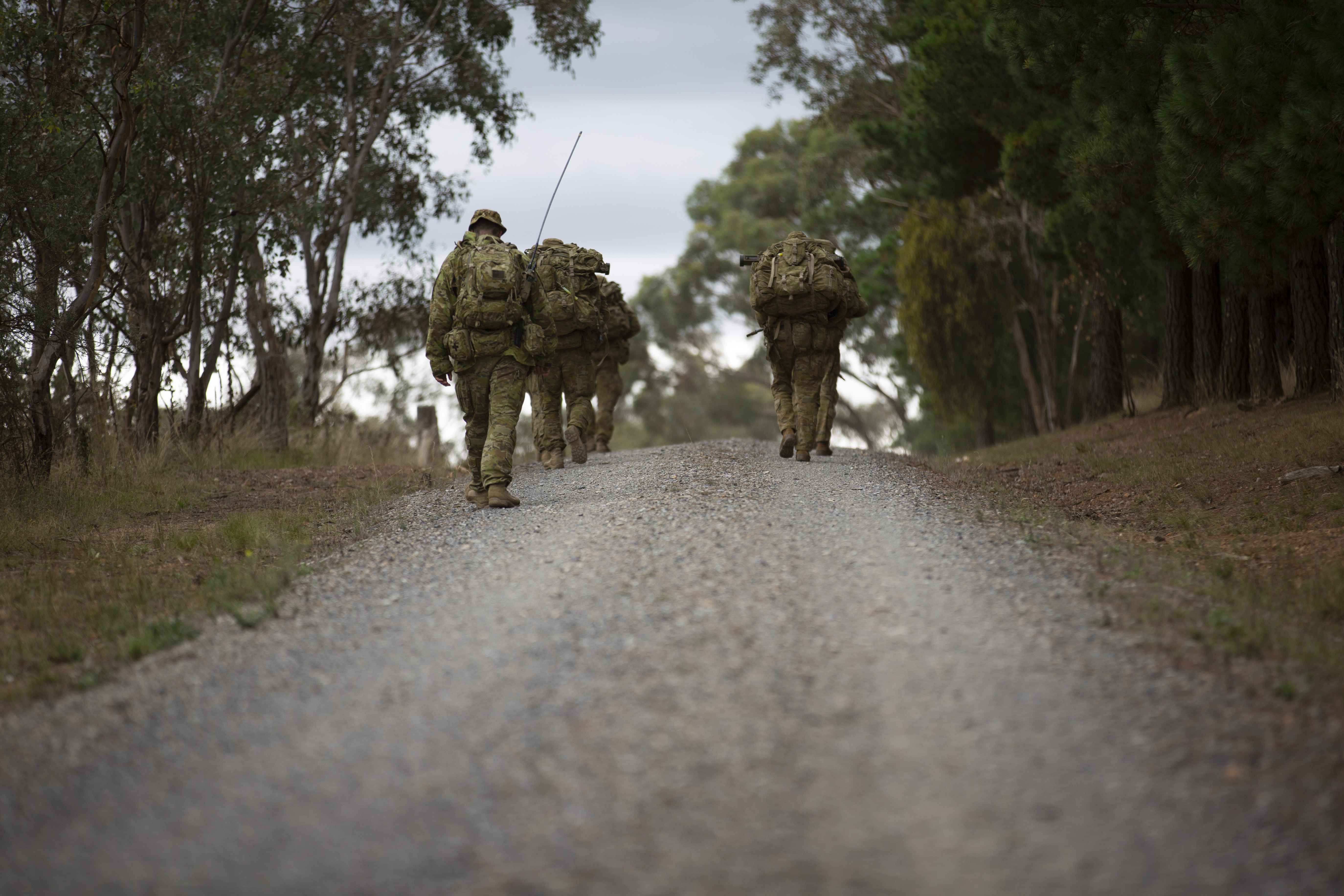Strategic Scripts, Accelerated Warfare, and One Hundred Words for the ...