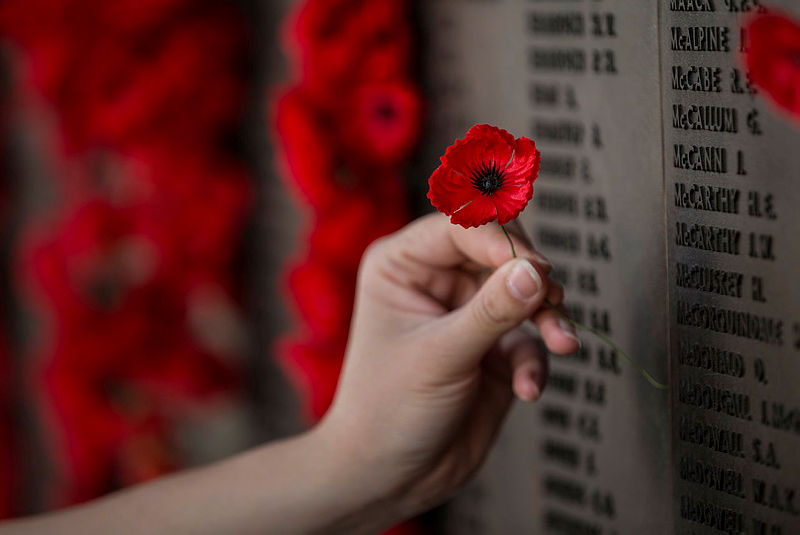 Red poppies on the wall