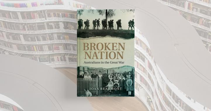 Book cover of 'Broken Nation'.