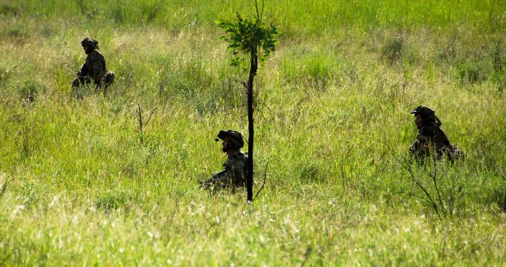 Soldiers walking through tall grass.