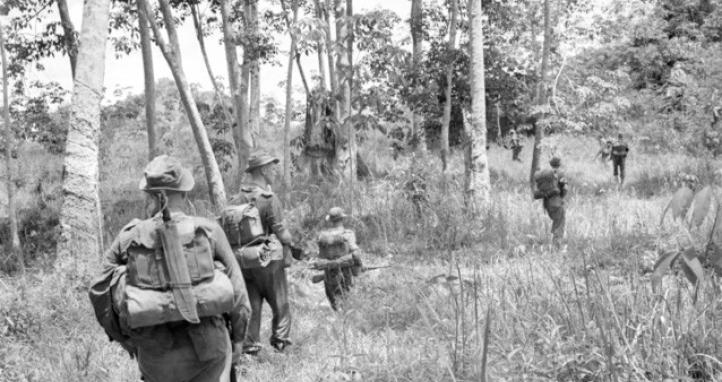 Soldiers move through a rubber plantation in Perek.