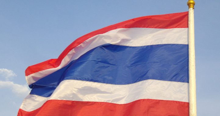  Flag of Thailand. This picture was taken at Sanam Luang in Vesak Day, 8th May 2009.