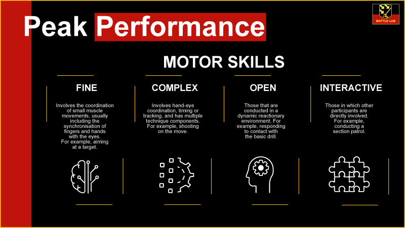 Motor Skills