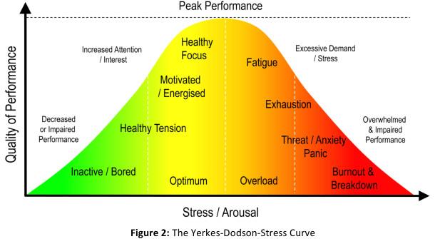 The Yerkes-Dodson-Stress Curve