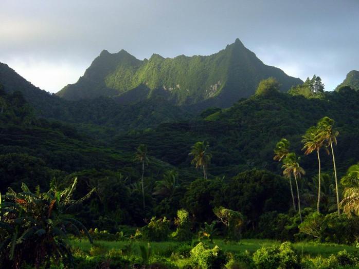 Natural landscape in the Cook Islands