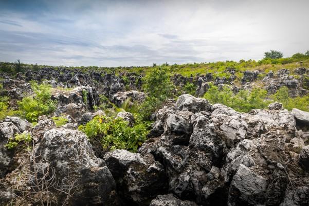 Extensive phosphate mining