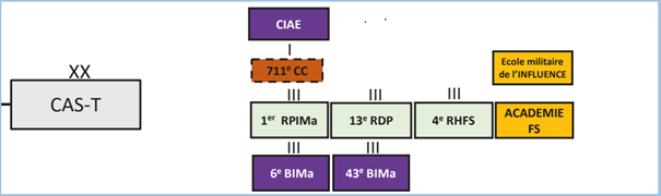 The CAS-T organisation showing the French Army sub-units