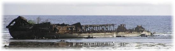 Remains of WWII United States Nacy LST-203