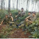 Soldiers waiting in the jungle