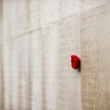 A small knitted poppy sits in the walls of the Australian National Memorial.