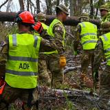 Australian Army soldiers from 11th Brigade provide clearing access to essential infrastructure at Wongawallan, Queensland.