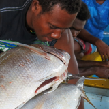 A man selling fish at Honiara’s central market.