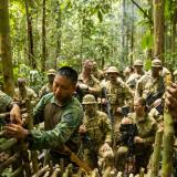 Royal Brunei Land Force officers and soldiers show Australian Army soldiers from Rifle Company Butterworth Rotation 137 how to catch food in the Bruneian rainforests during Exercise Mallee Bull's jungle survival training on 10 November 2022 in Brunei. 