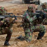 NZ Army soldiers with NZLAVs