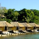 A Vanuatu shoreline