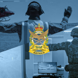 Aircraft marshalling training