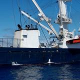 A tuna fishing ship in the ocean.