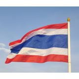  Flag of Thailand. This picture was taken at Sanam Luang in Vesak Day, 8th May 2009.